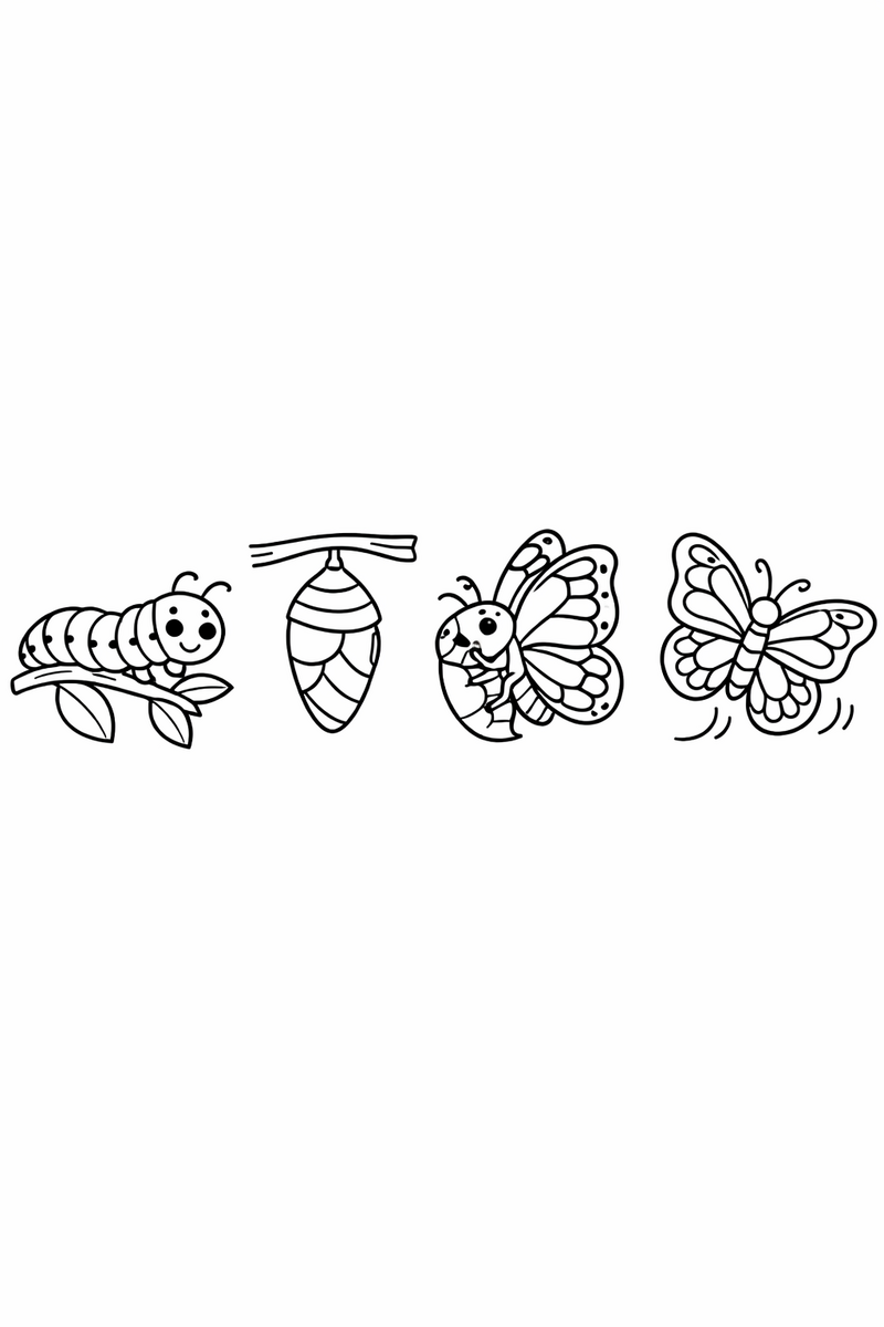 Four little scenes in a row showing a caterpillar, a chrysalis, an emerging butterfly and one in flight coloring page