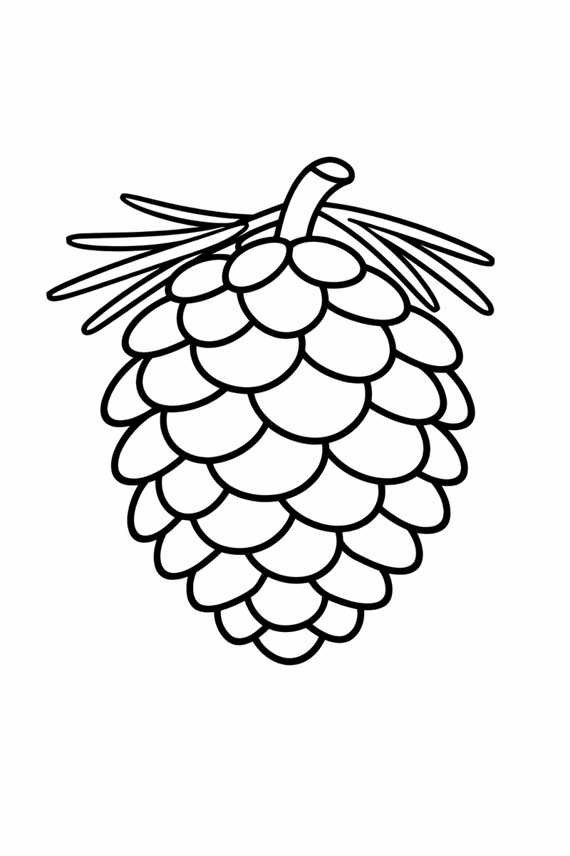 Pinecone coloring page