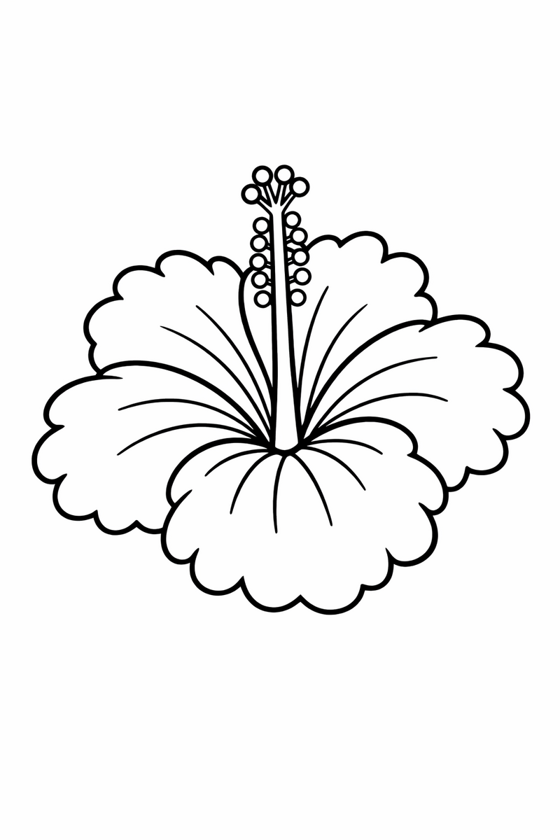 A big tropical hibiscus with five ruffled petals around a long central stalk tipped with pollen coloring page