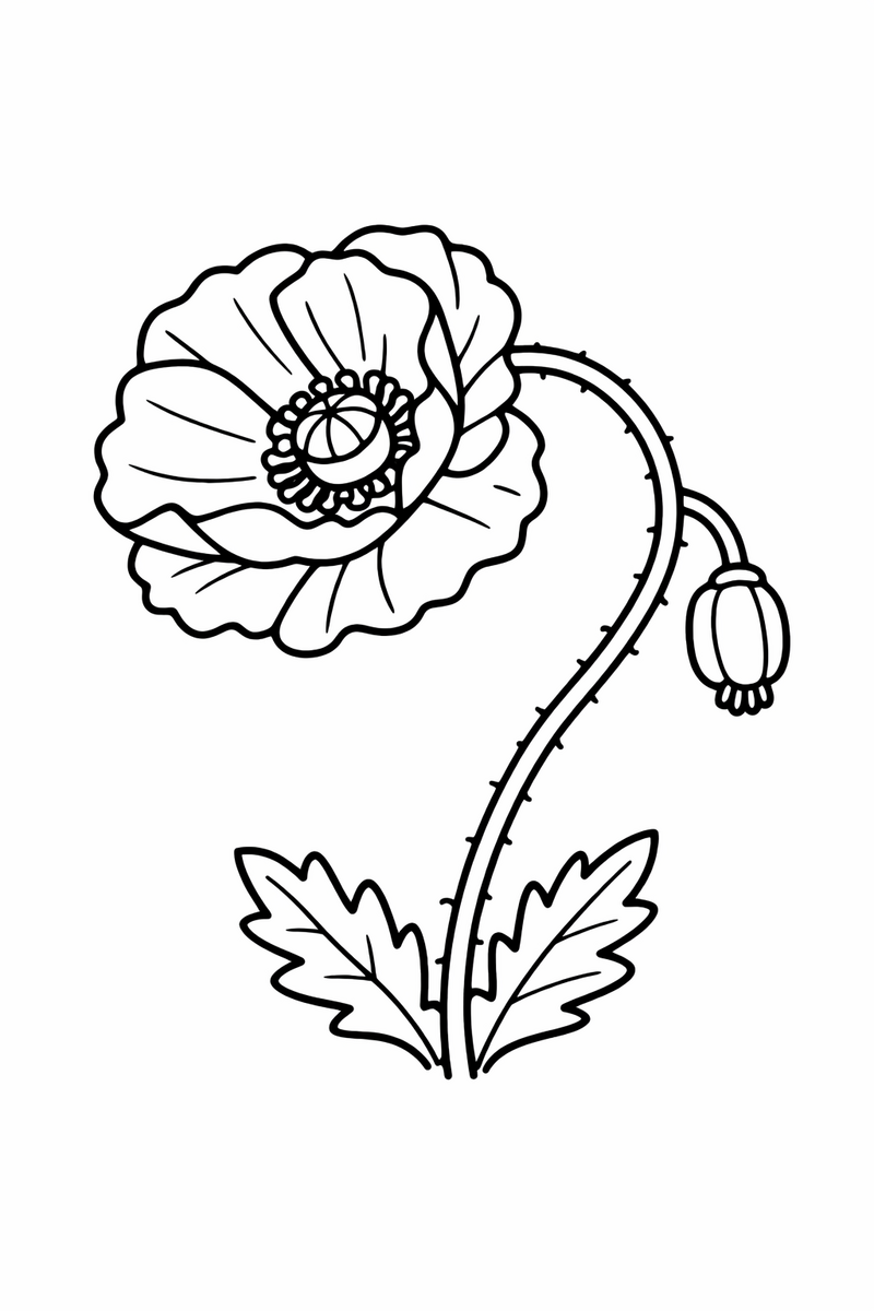 A delicate poppy nodding on a wiry stem with crinkled petals and a round seed pod center coloring page